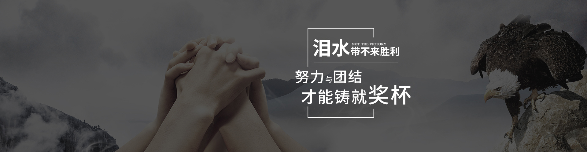 榮譽(yù)資質(zhì)